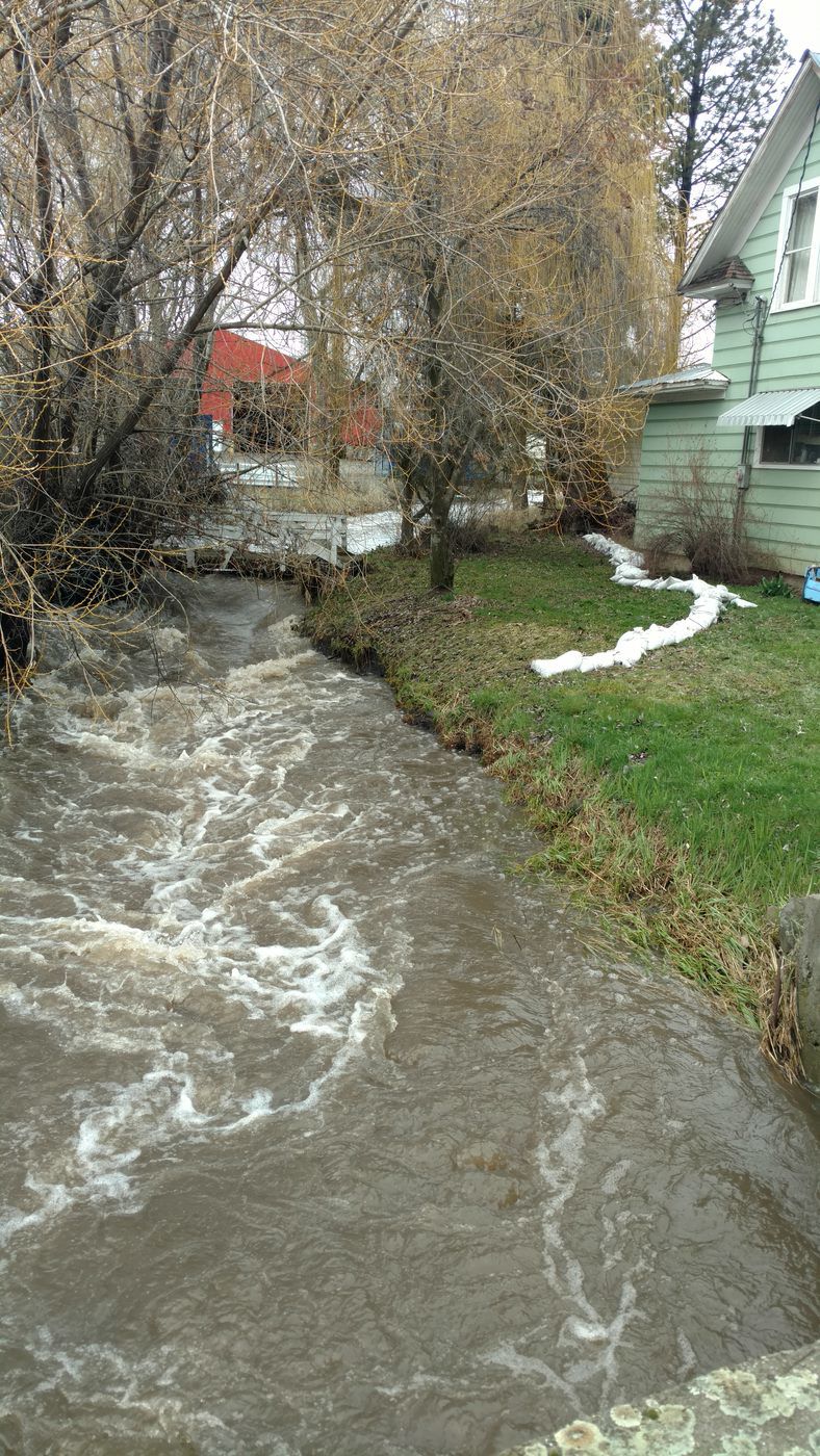 Flooding in Cottonwood